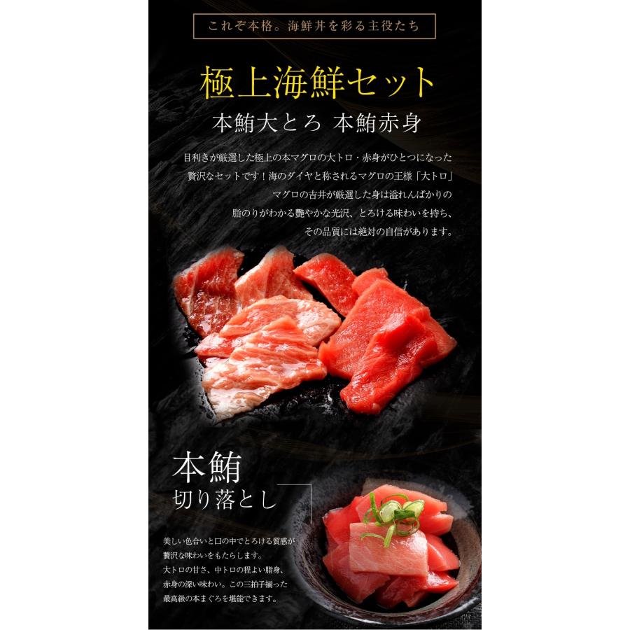 母の日 プレゼント 海鮮 グルメ ギフト 本まぐろ三昧海鮮めし 大トロ 赤身 本鮪切落し 丼約1杯分 茶碗2杯分 海鮮丼 父の日 誕生日 御祝 内祝 おつまみ｜maguro441｜05