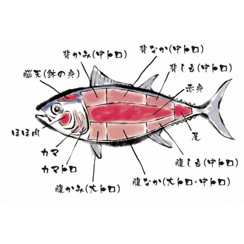 本マグロ中トロ 300g ブロック 柵 まぐろ マグロ 鮪 刺身 おつまみ ごちそう 解凍レシピつき 2〜3人前 ギフトにもおすすめ マグロ刺身 海鮮 グルメ｜maguro441｜10