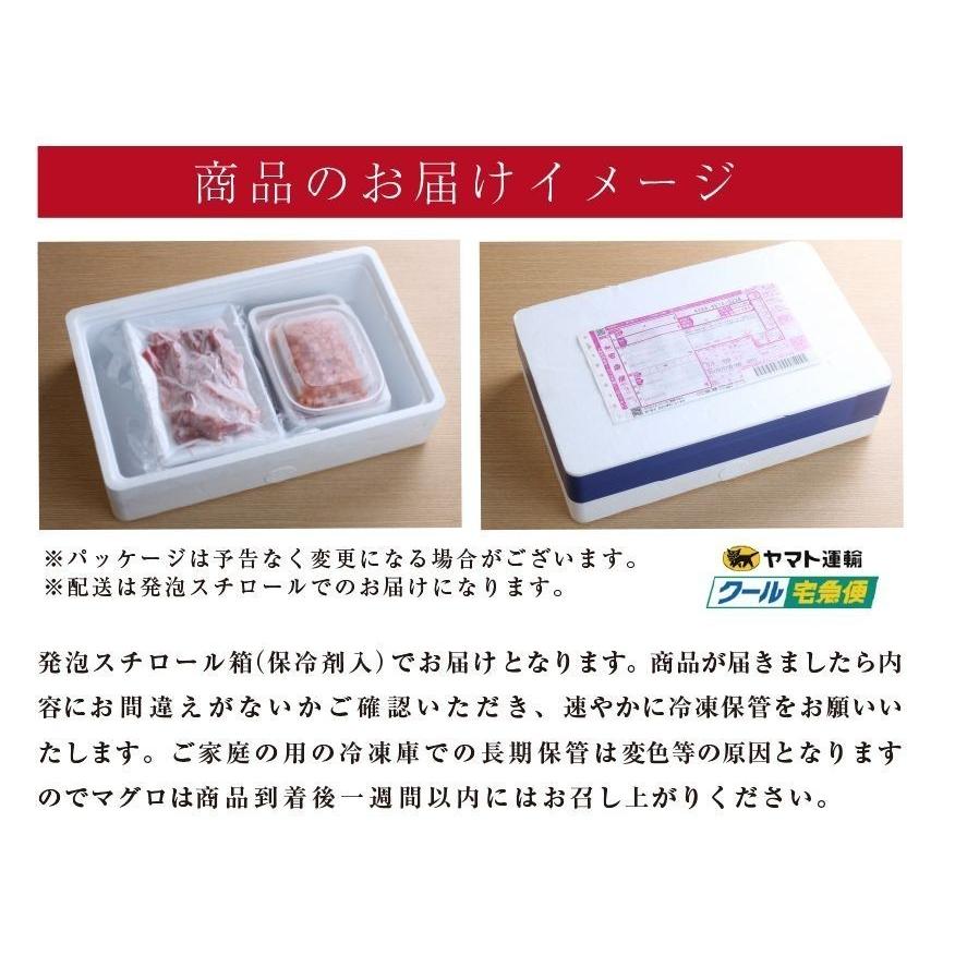 まぐろ マグロ 鮪 国産 本鮪 伊達マグロ 赤身 ブロック 柵 刺身 300g 2〜3人前｜maguro441｜10