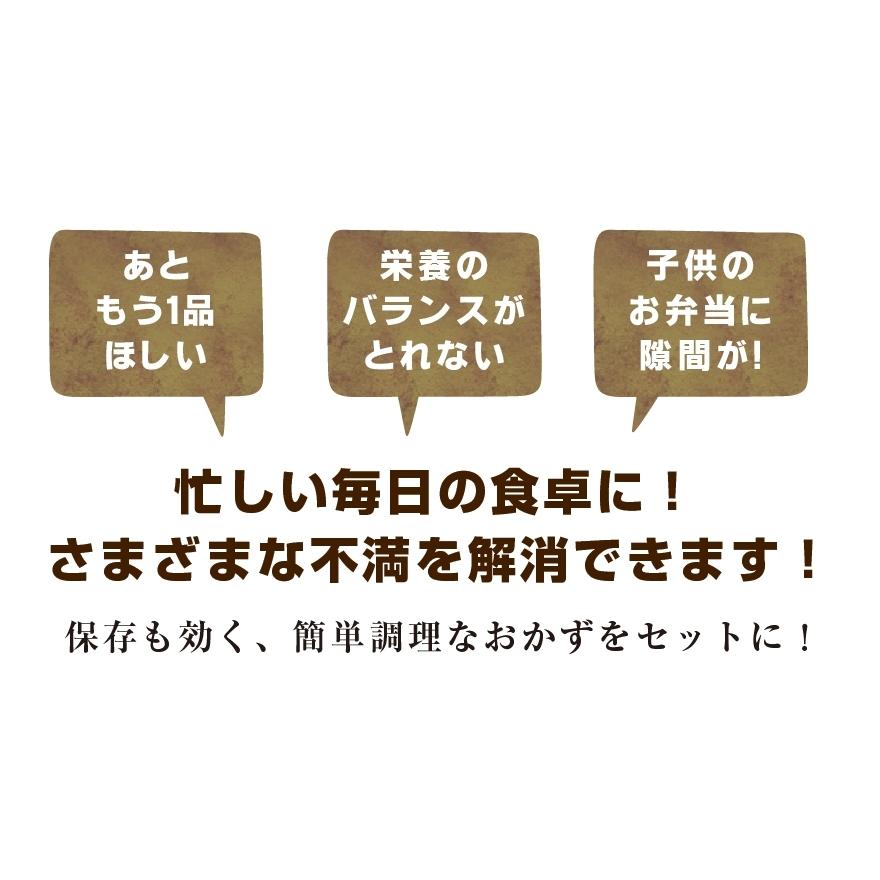 懐かしの味 家族の食卓お助け 和惣菜 セット 惣菜 冷凍 おかず 煮物 手作り 食べきり おつまみ 個別包装 手間なし 本格的 和食 醤油ベース 優しい味 mk23｜maguro441｜04