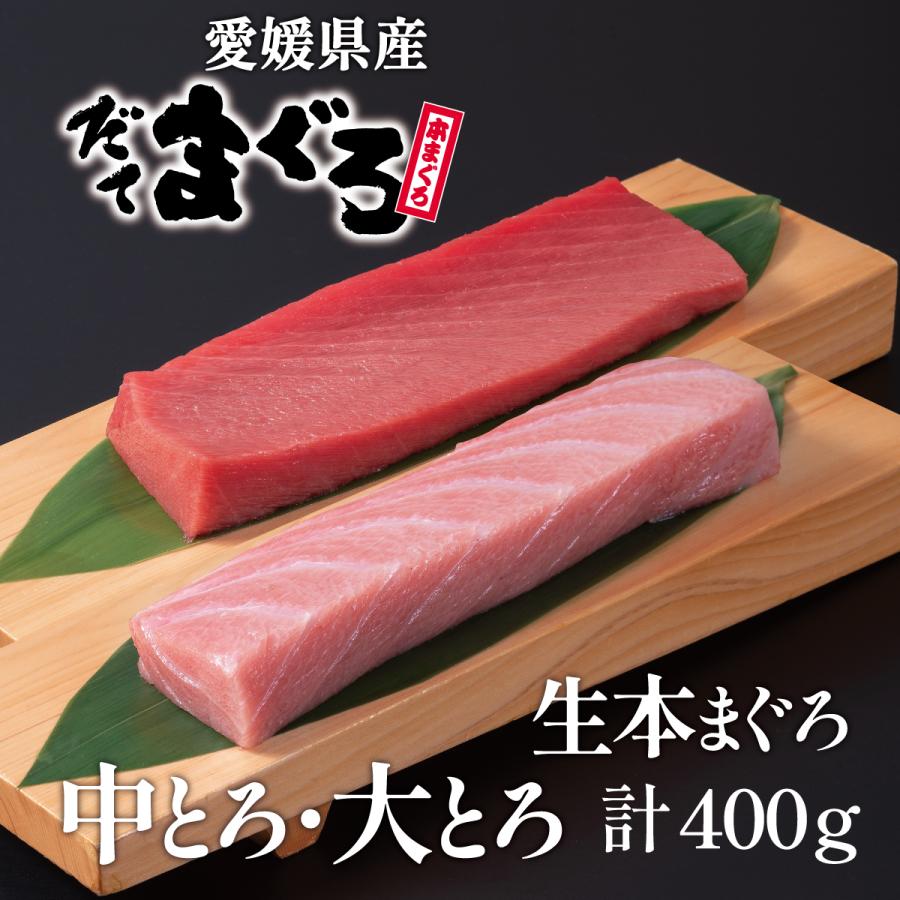 生本マグロ（だてまぐろ）中とろ・大とろ計400g柵（さく） 鮪 伊達