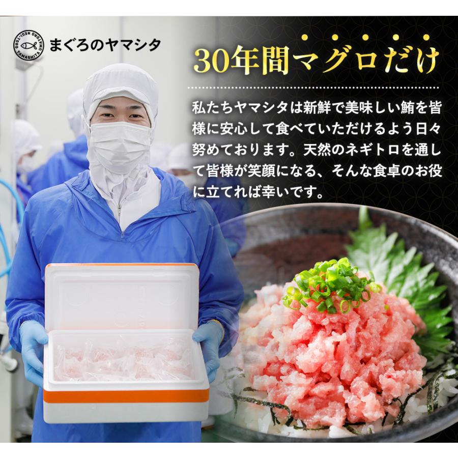 ねぎとろ 1kg 100g×10パック] 天然まぐろ冷凍 個包装 焼津 寿司