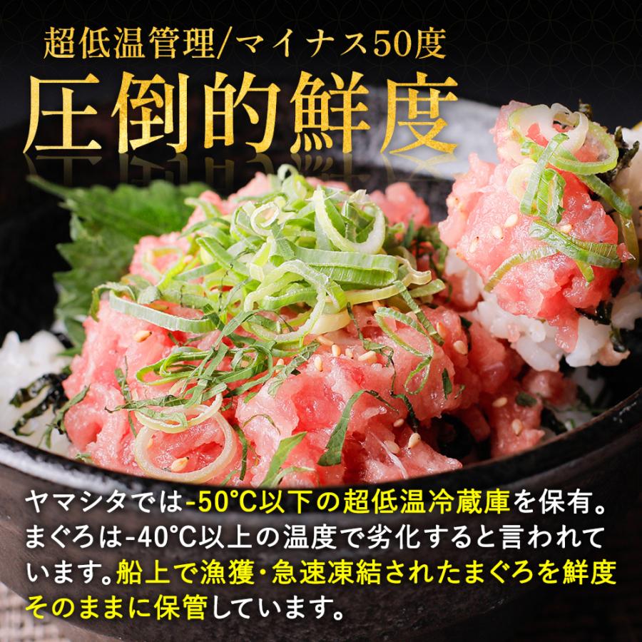 ねぎとろ 1kg 100g×10パック] 天然まぐろ冷凍 個包装 焼津 寿司