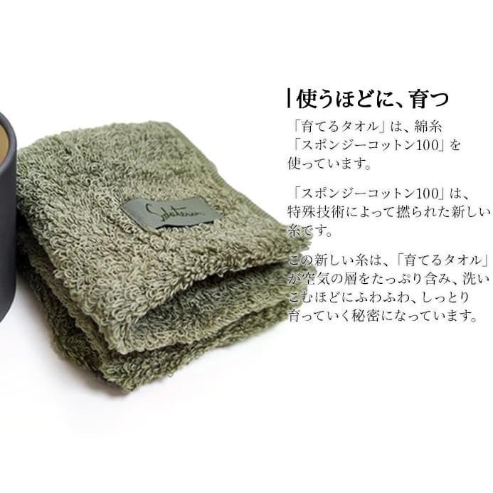 育てるタオル ギフト フェイスタオル feel 1個 フィール 育てるタオル ギフト フェイスタオル feel 1個 フィール