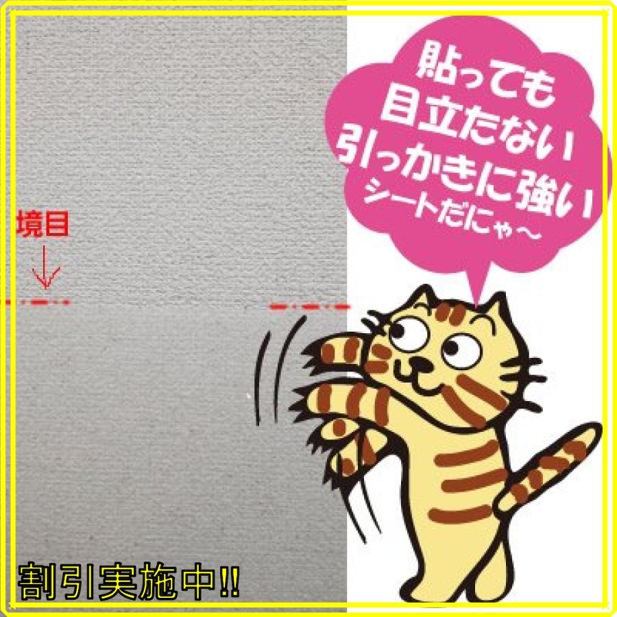 本店は 半透明タイプ 壁紙のキズ 汚れ防止シート92ｃｍ5ｍ巻 全日本送料無料 Zoetalentsolutions Com