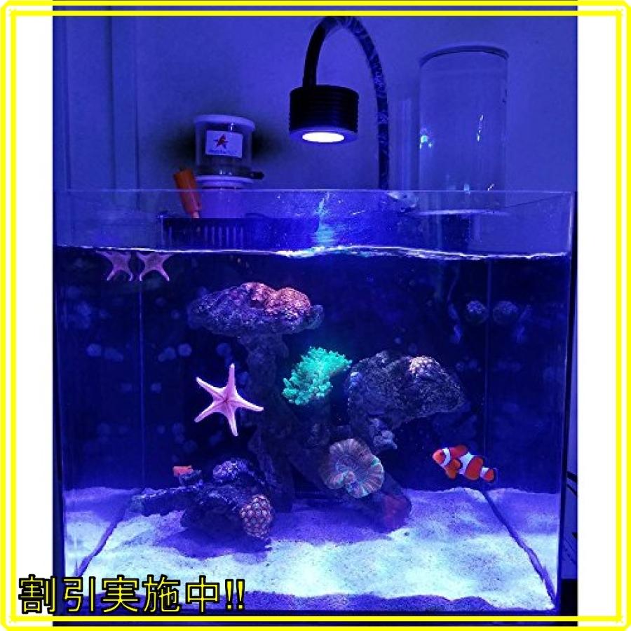 Lominie アクアリウム ライト Led Asta 小型水槽 4チャンネル調光 サンゴ 水槽用 照明 リモコン付き 観賞魚飼育 グ Wss 45kjrzmnftop Mahalo Castle 通販 Yahoo ショッピング