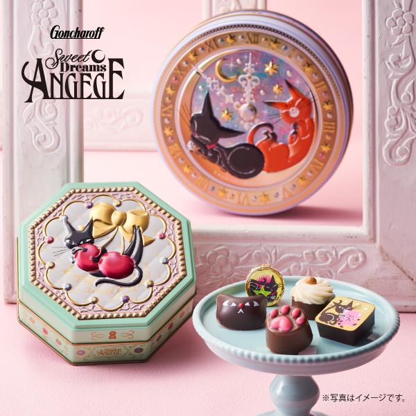 2025 バレンタイン チョコ 猫チョコ アンジュジュ A プチギフト 2025 バレンタイン チョコ 猫チョコ アンジュジュ A プチギフト