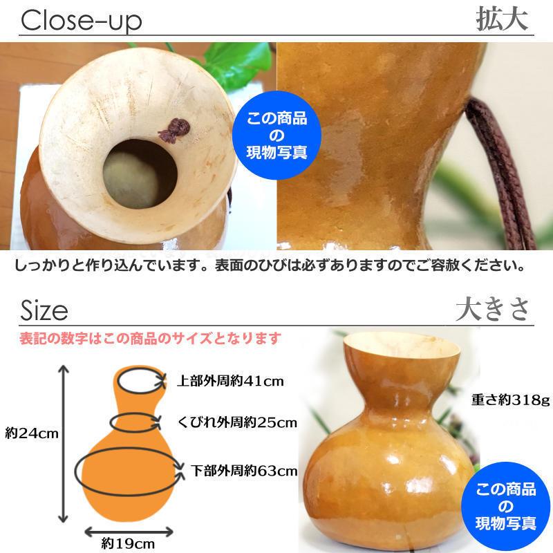 ハワイアン フラダンス 楽器 イプ ヘケ オレ 8インチタイプ (M ハワイアン フラダンス 楽器 イプ ヘケ オレ 8インチタイプ (M