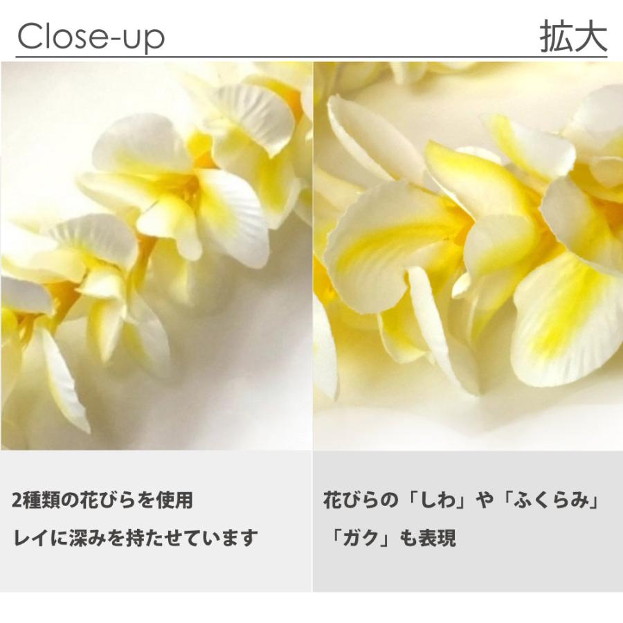 フラダンス レイ プルメリア アロハ ( ホワイト / イエロー 白 黄色