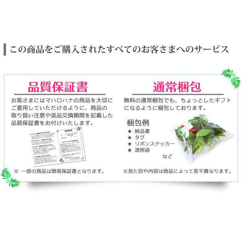 ハワイアン フラダンス 楽器 プイリ 台湾製 約50cm ペア ハワイアン フラダンス 楽器 プイリ 台湾製 約50cm ペア