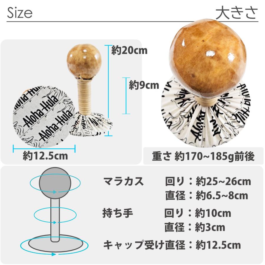 フラダンス ウリウリ ボトム マラカス 1本販売 ハワイ製 （Bランク