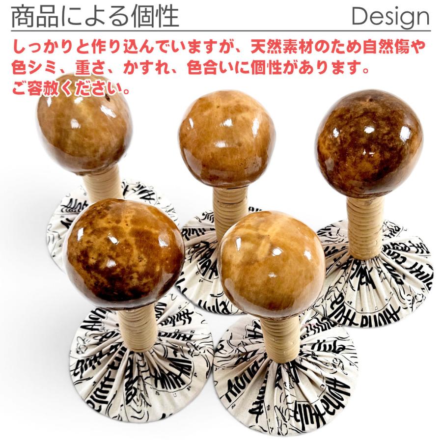 フラダンス ウリウリ ボトム マラカス 1本販売 ハワイ製 （Bランク