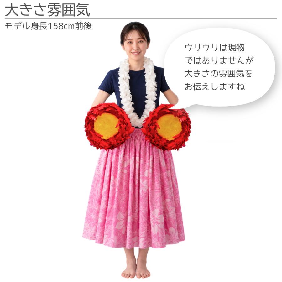 フラダンス 楽器 ウリウリ 一体型 Sサイズ Aランク 約24cm ペア ハワイ