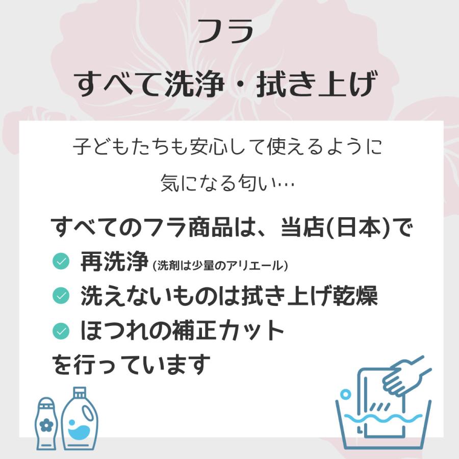 フラダンス ハク シダ パラパライ ファーン ハクレイ (レイポオ