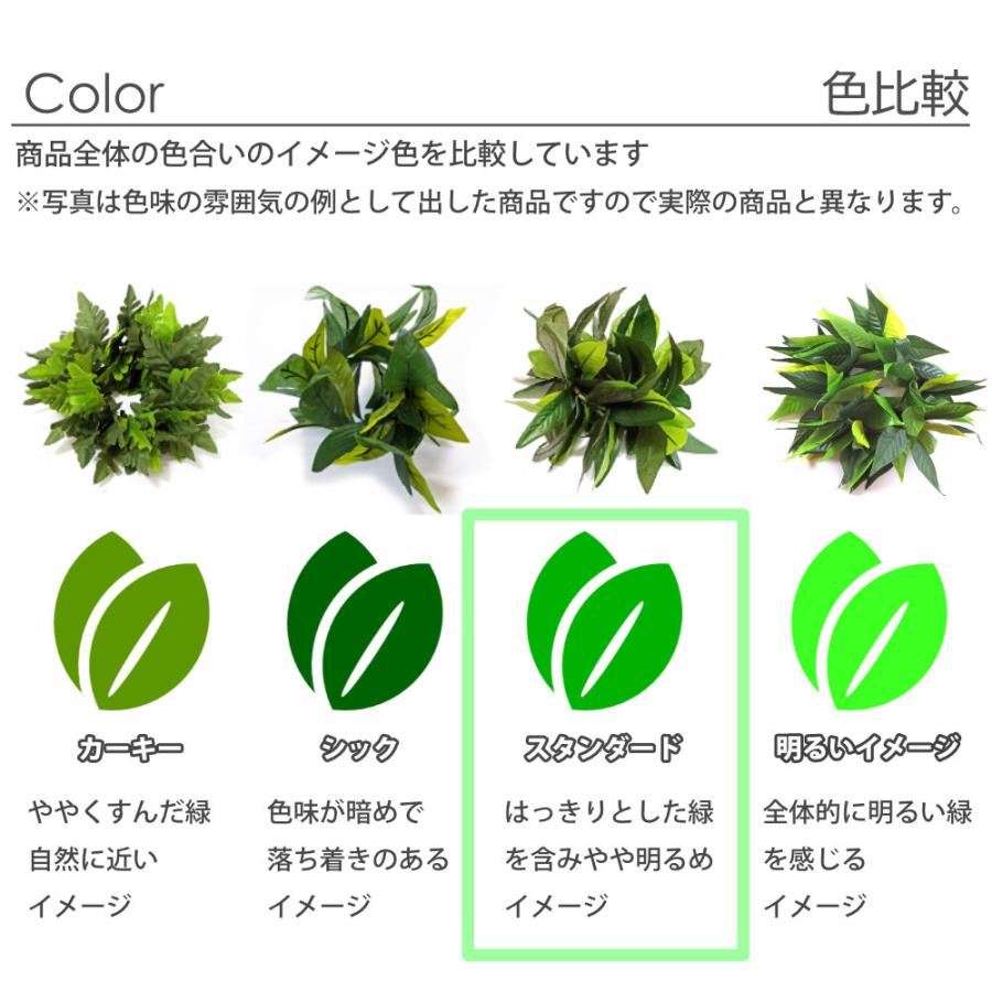 フラダンス シダ ファーン レイ パラパライ トリプル やわらか 公式