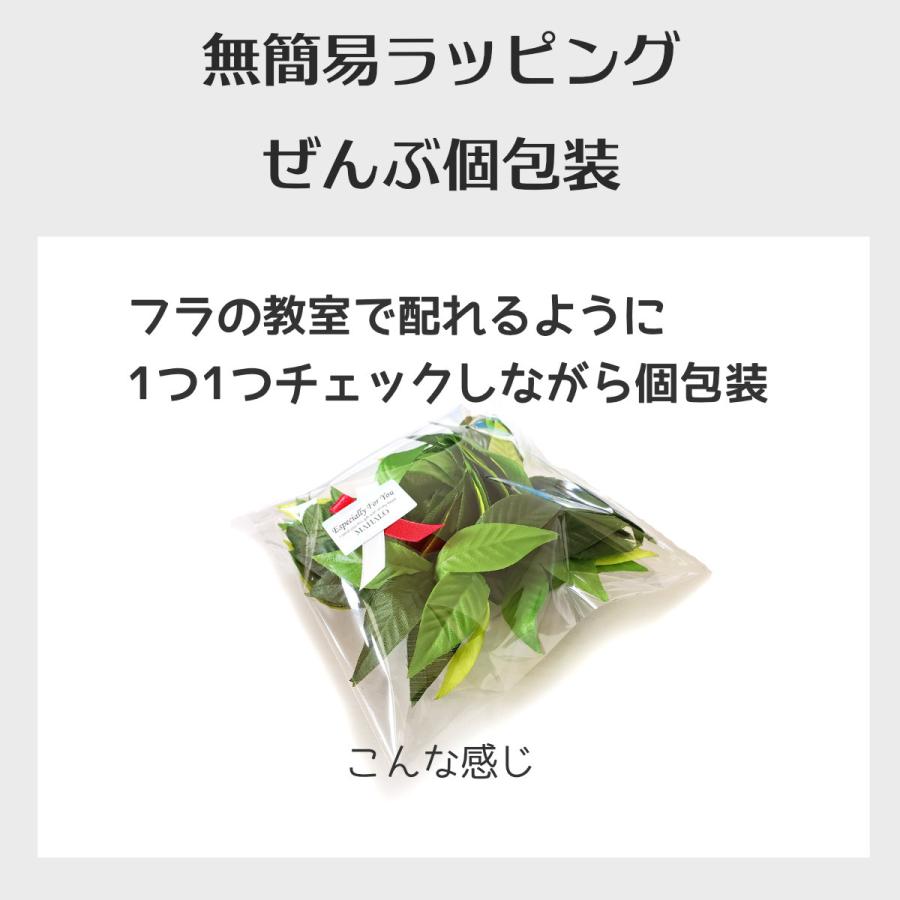 フラダンス シダ ファーン レイ パラパライ トリプル やわらか 公式