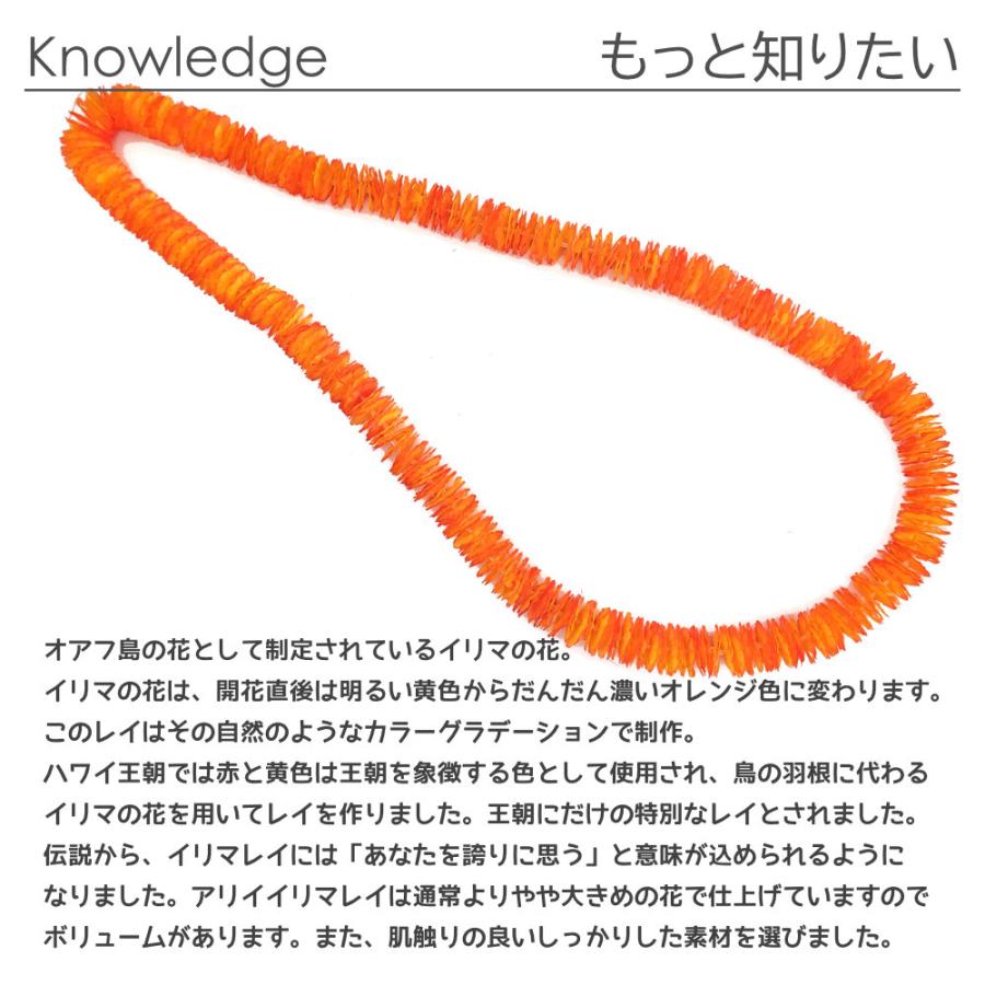 フラダンス レイ 王族のアリイ イリマ オレンジ x イエロー