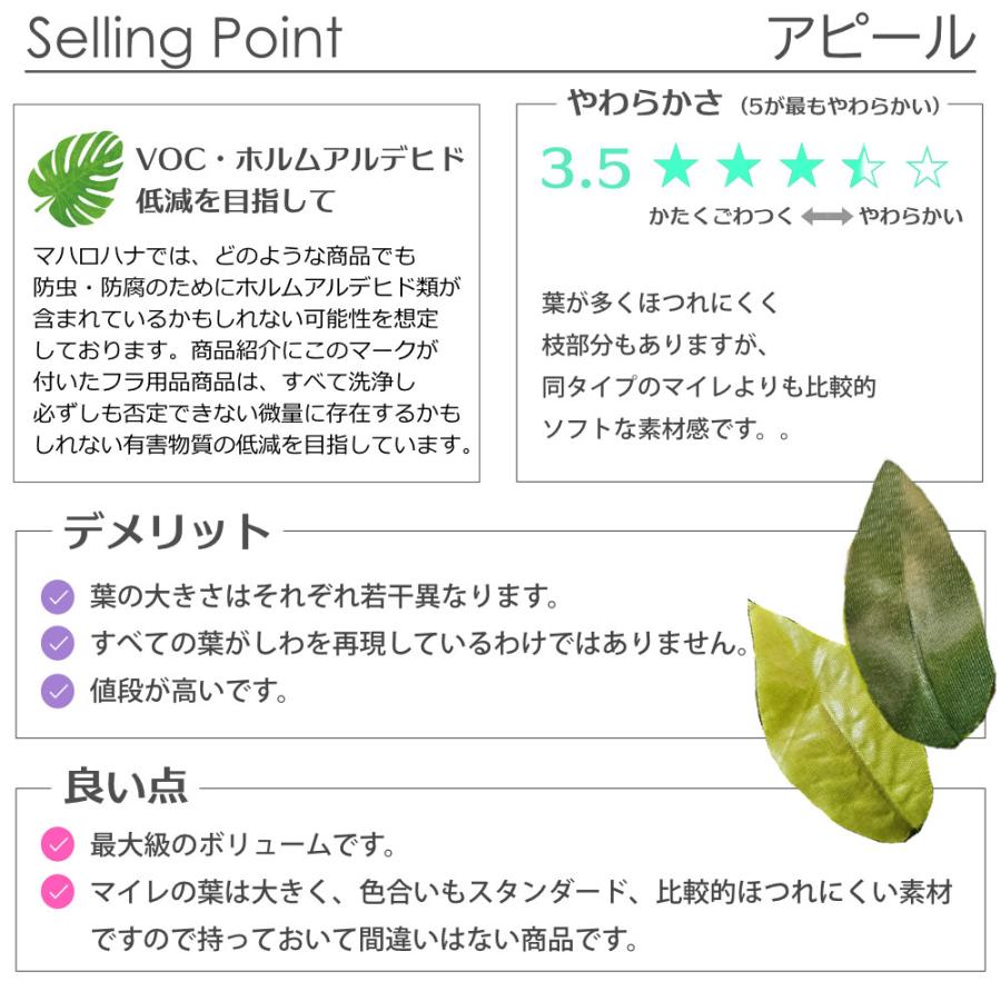 フラダンス マイレ レイ トリプル ゴージャス ウェディング 最大級