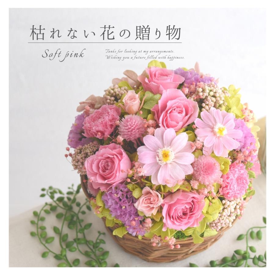 プレゼント 花 ギフト おしゃれ 誕生日 鉢植え 宅配 女性 母 妻 彼女 枯れない 長持ち メッセージカード ソフトピンク Mf0006 Mahana 通販 Yahoo ショッピング