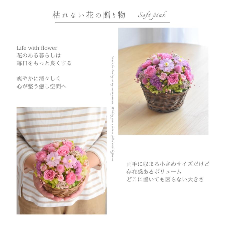 プレゼント 花 ギフト おしゃれ 誕生日 鉢植え 宅配 女性 母 妻 彼女 枯れない 長持ち メッセージカード ソフトピンク Mf0006 Mahana 通販 Yahoo ショッピング