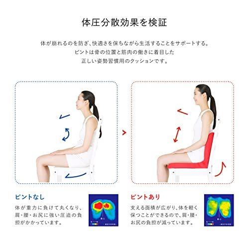 p!nto 正しい姿勢の習慣用座布団 クッション（pinto）ピント［green