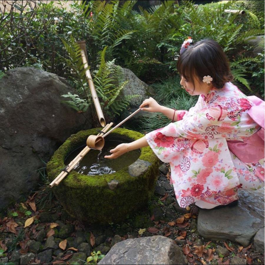 浴衣 レディース 花柄 菊 桜 浴衣セット ピンク セット 大き 浴衣 レディース 花柄 菊 桜 浴衣セット ピンク セット 大き