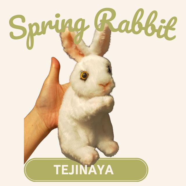 うさぎの出現〜 スプリングラビット（ギミックバンダナセット） /手品