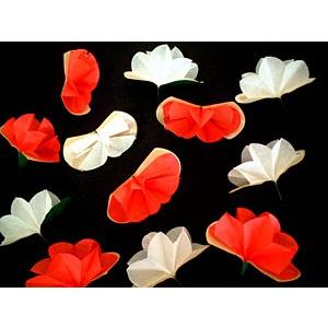 ミリオンフラワー /手品 マジック用品 : まほうとまほう Yahoo!店