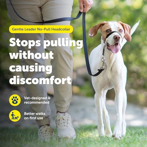 PetSafe（ペットセーフ） ジェントルリーダー 引っ張り防止 ヘッド