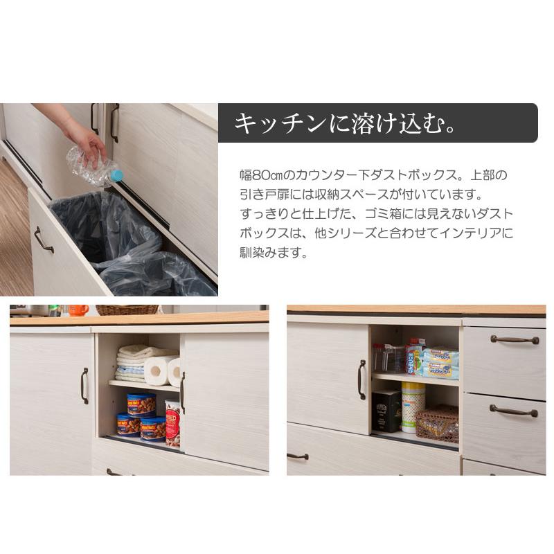 2分別 ダストボックス カウンター下収納 80cm幅 ホワイト ゴミ箱