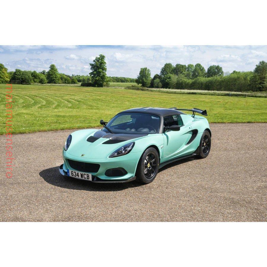 高品質 LOTUS ELISE S2 S3 CUP STYLE GTウイングカーボン/FRP製ステー/FRP製土台