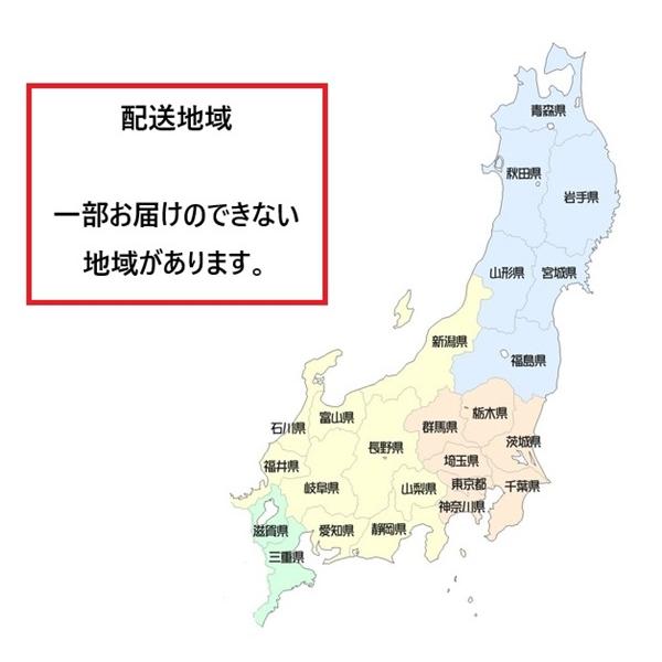 CORONA(住宅設備) コロナ CHP-E372AZ1 エコキュート 本体のみ CORONA(住宅設備) コロナ CHP-E372AZ1 エコキュート 本体のみ