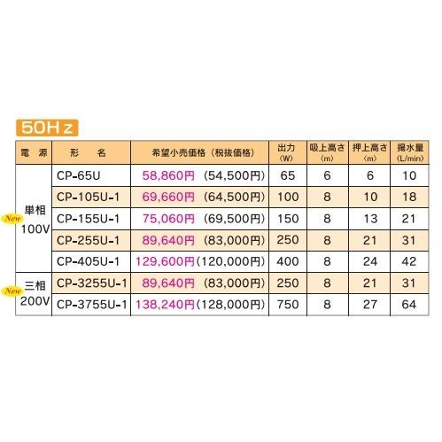 テラル CP-405U-1 浅井戸用非自動式ポンプ(CP形) 単相100V (50Hz用