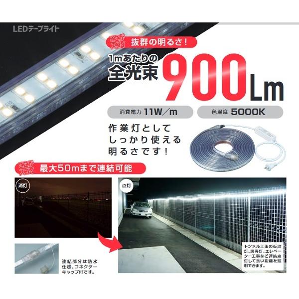 HATAYA（ハタヤ） LTP-20 LEDテープライト 片面発光タイプ 20mタイプ 