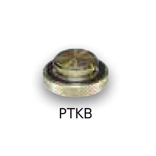 BRIDGESTONE（ブリヂストン） PTKB(発注単位：5個) アダプター継手 砲金製テストアダプター 専用プラグ [ ] : まいど ...