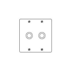 Panasonic（パナソニック） 電設資材 WN7562 大穴電話線プレート 新
