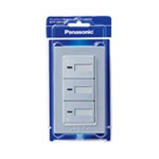 Panasonic 電設資材 パナソニック WTP50513SP ラフィーネア