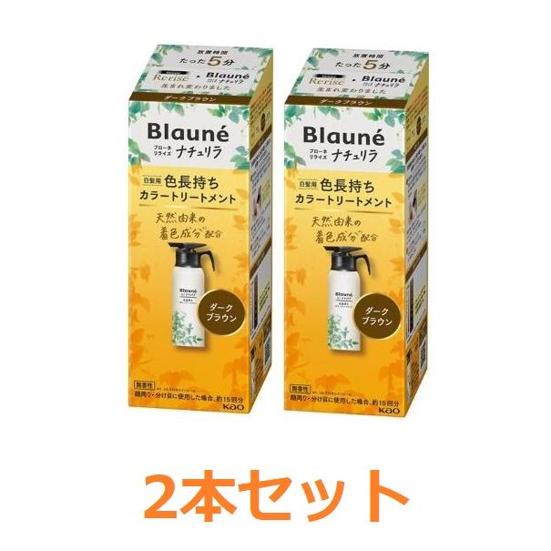 ブローネ 【花王】ブローネ ナチュリラ 色長持ちカラートリートメント