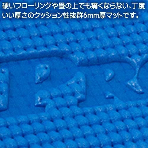 プロヴァンス PROVENCE ヨガマット 6mm トレーニング マット 体幹