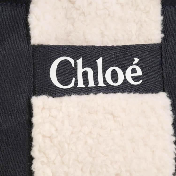 Chloe（クロエ） バッグ ハンドバッグ ショルダーバッグ レディース