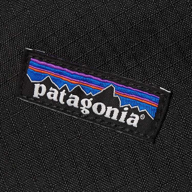 patagonia（パタゴニア） ブラックホール キューブ 6L ポーチ メンズ