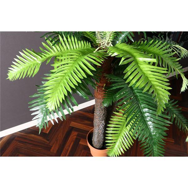 新品 送料無料 人工観葉植物 インテリアグリーン シダ 7号鉢対応 43 リビング 店舗 ショップ お店 Ds 暮らしの通販スタイル 通販 Yahoo ショッピング 安い販売オンライン Clinicaaldente Es