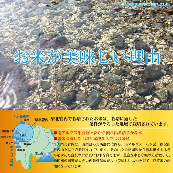 コシヒカリ 山梨県産 武川米 5kg 白米 通販 南アルプスの清流水で育っ