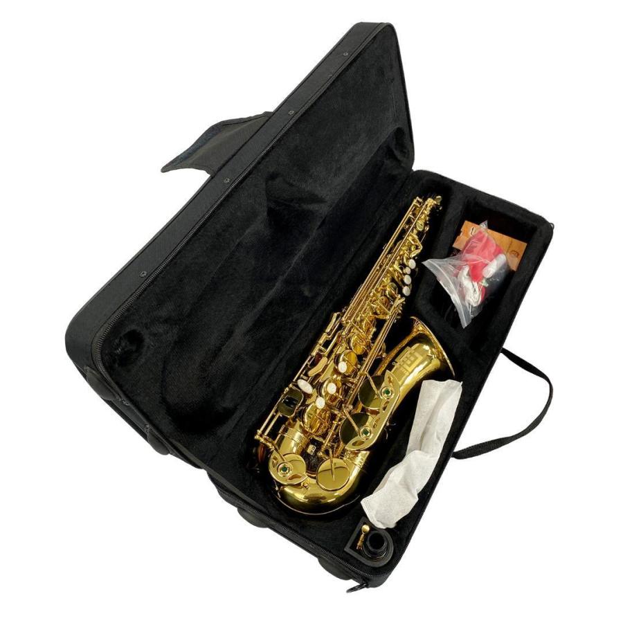 アルトサックス 初心者セット E Saxophone ゴールドラッカー ケース