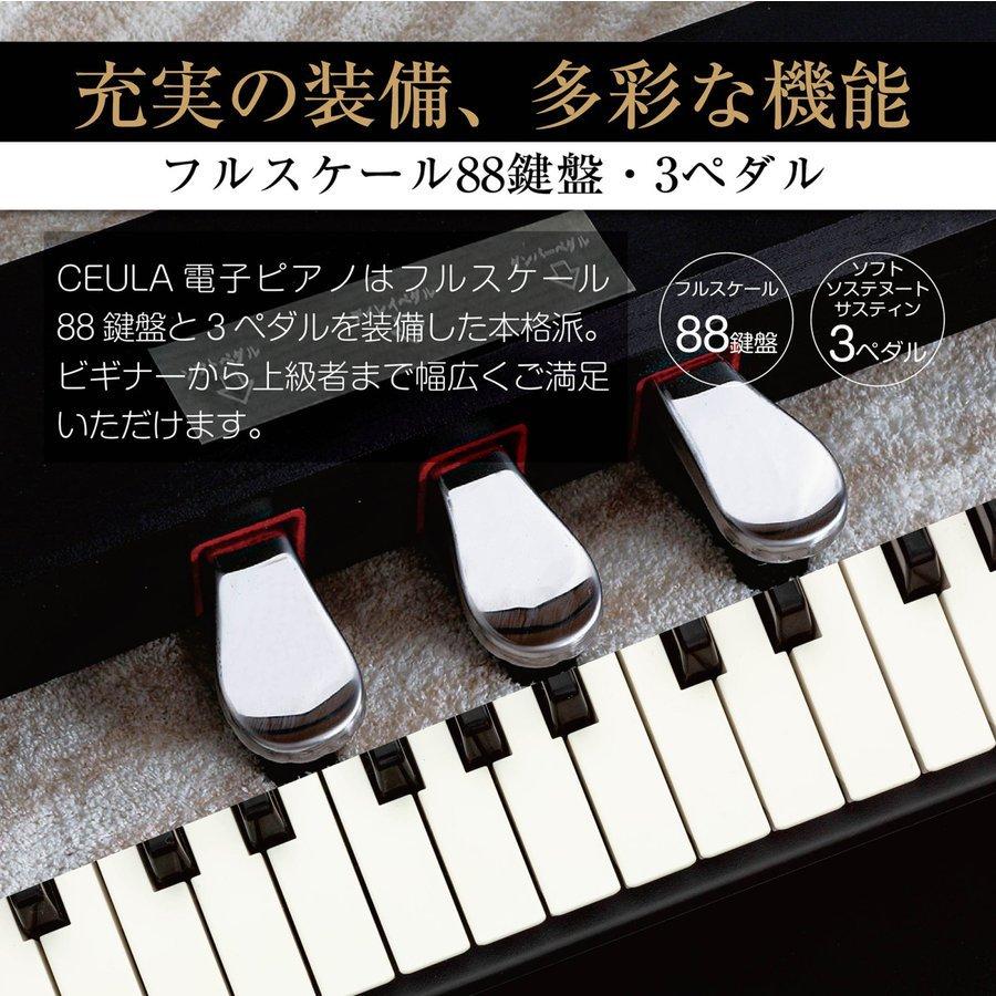 3本ペダル MIDI 展示品 88鍵 電子ピアノ本体 グレードハンマーアクション - www.nhm.psu.ac.th