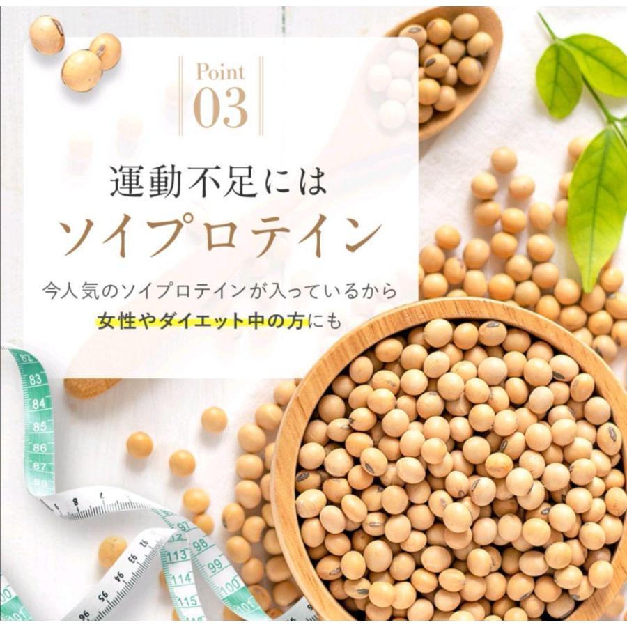 青汁 ソイプロテイン 2箱 乳酸菌 ダイエット 健康 腸活 家族で飲める 青汁 Ilgaimportadora Com