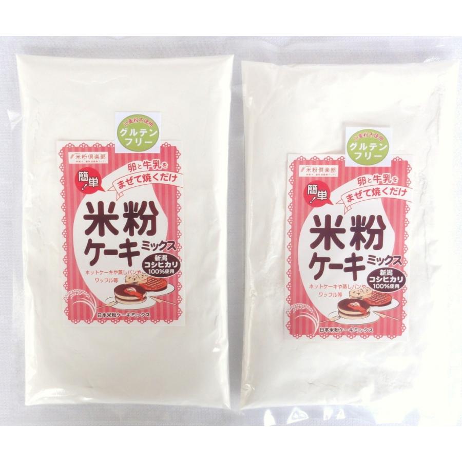 日本米粉ケーキミックス 300g ２袋 グルテンフリー Ris Sa