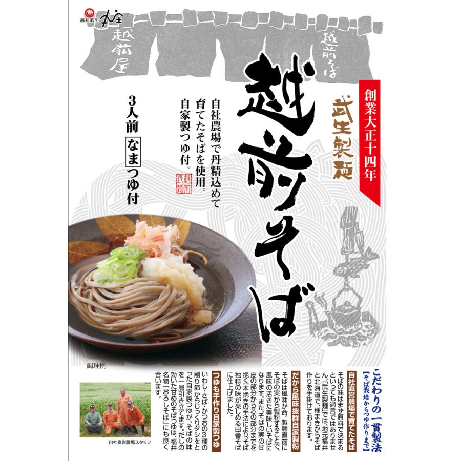 越前そば そば 半生麺 武生製麺 自家製つゆ付 福井 :0475061:まいもん越前 - 通販 - Yahoo!ショッピング 越前そば そば 半生麺 武生製麺 自家製つゆ付 福井 :0475061:まいもん越前 - 通販 - Yahoo!ショッピング