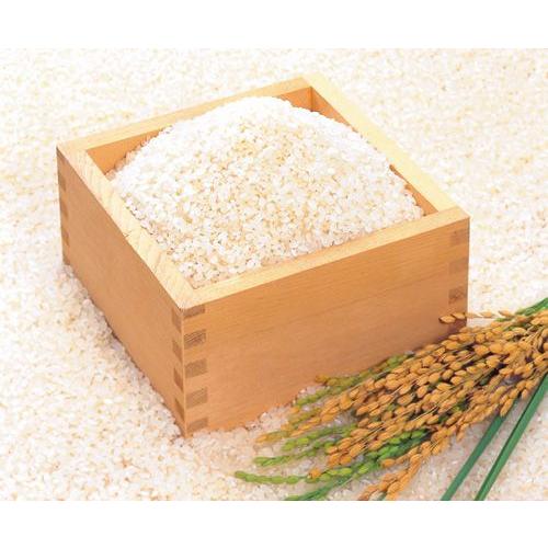 新米 令和6年産 お米 米 5kg こしひかり 無洗米 福井県産 コシヒカリ