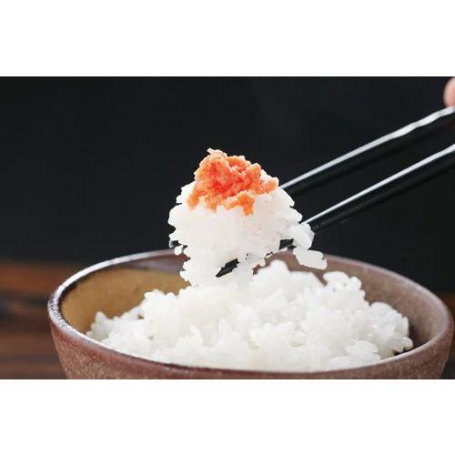 新米 令和6年産 お米 米 5kg こしひかり 無洗米 福井県産 コシヒカリ